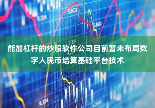 能加杠杆的炒股软件公司目前暂未布局数字人民币结算基础平台技术